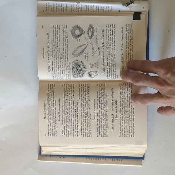 Complete Field Guide to American Wildlife - 1959 - Picture 15 of 15